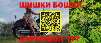 прущие грибы Комсомольск-на-Амуре