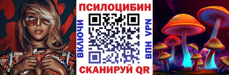 Галлюциногенные грибы Psilocybine cubensis  закладки  Котлас 